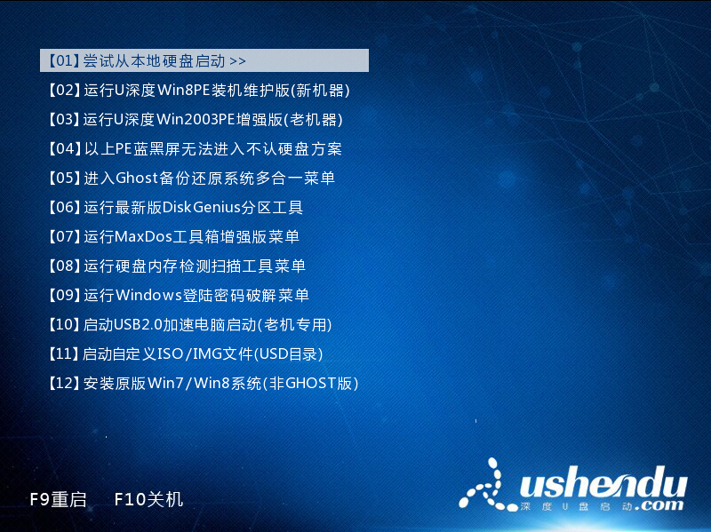 u盘pe启动盘怎么用