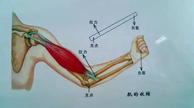不累手的鼠标