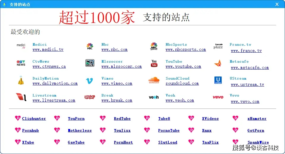 视频网站下载软件