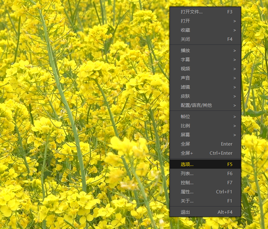 potplayer占用cpu