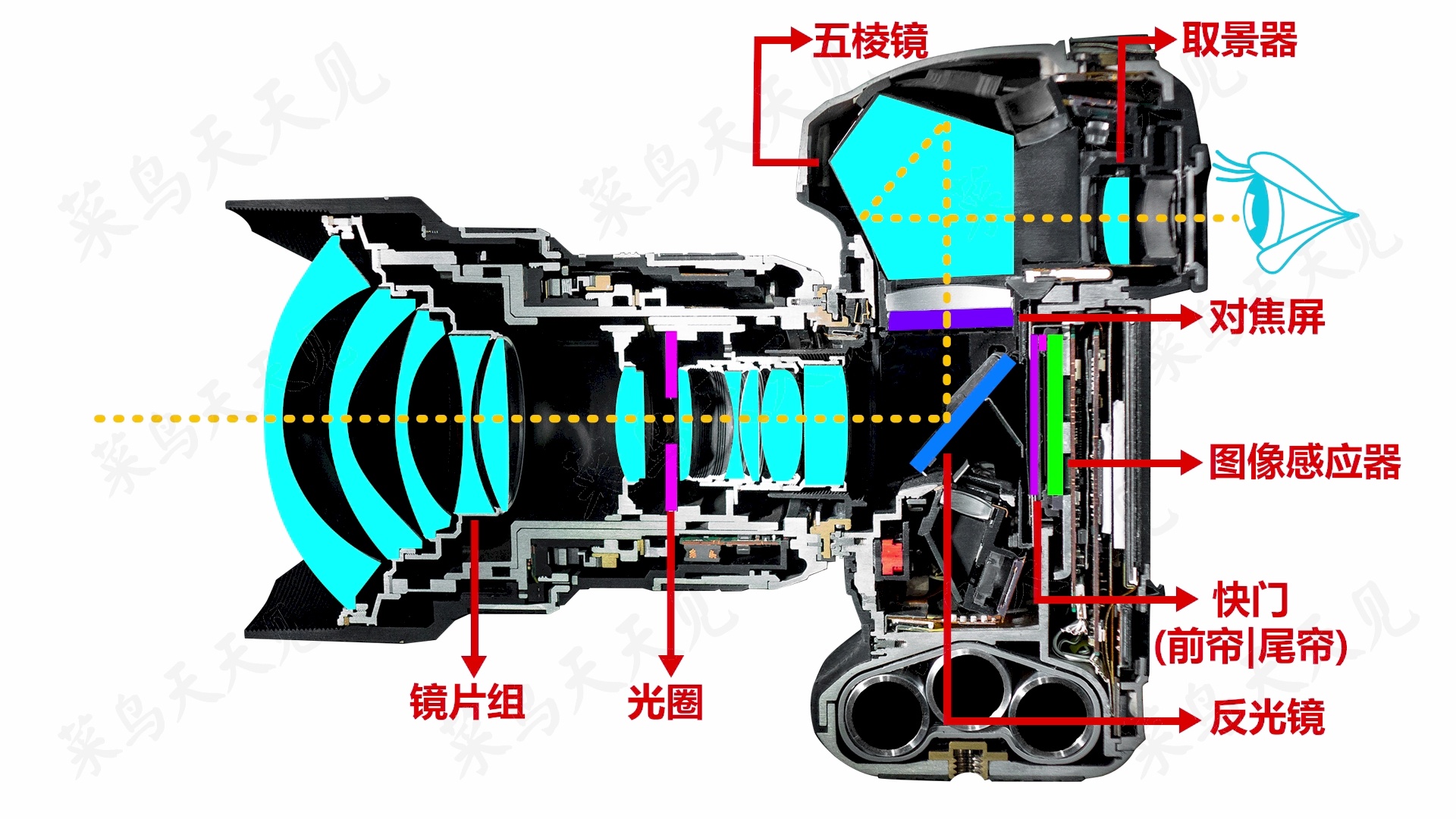 led显示原理_led 显示器原理_led点阵显示原理