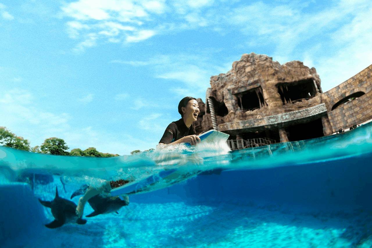 移动宽带用迅游