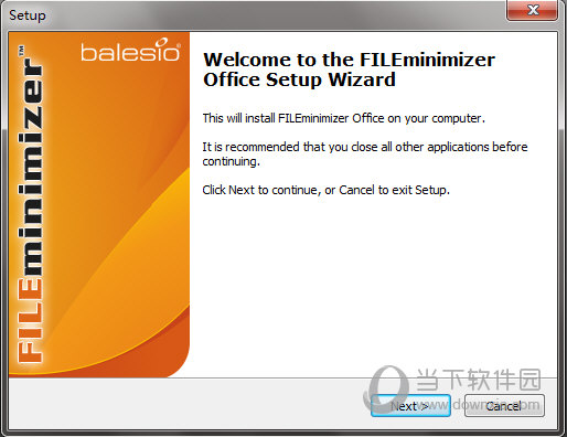 FILEminimizer Office