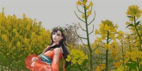 新倩女幽魂显卡