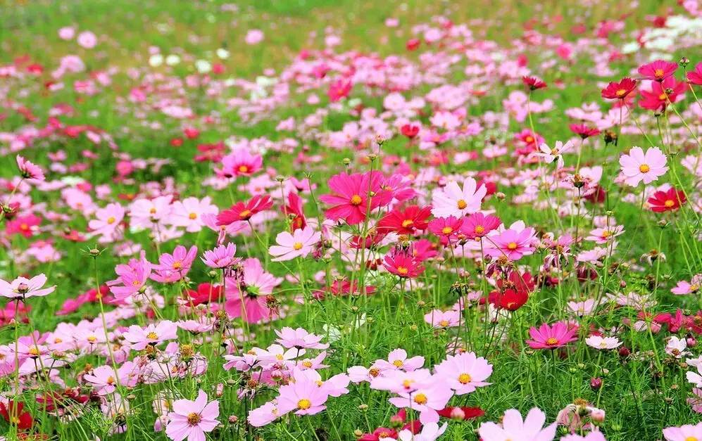 ssd怎么看写入量_新电脑ssd总写入量80g_ssd硬盘写入量