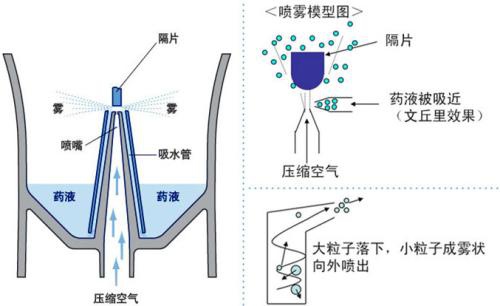 显示器字体太小了，只能从文字上看区别