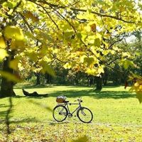 瑞星杀毒软件怎么会自动安装 
linjiaying1981根据楼主的描述不排除感染病毒怎么办