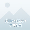 最厉害电脑病毒_电脑僵尸病毒_电脑u盘病毒查杀