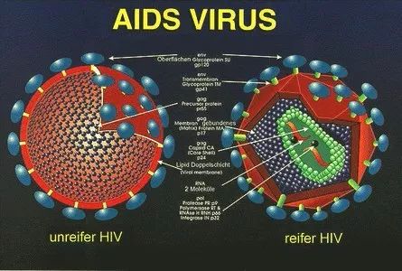 火绒杀毒软件_火绒杀毒怎么更改主页_电脑防护软件火绒