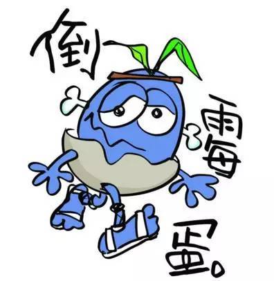 全高独立显卡_2014性价比高的显卡_1500的手机买什么品牌性价比好照相功能好2014