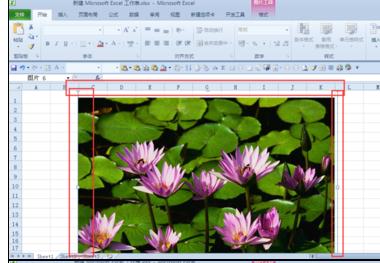 Excel2010中对图片进行抠图和裁剪的操作方法