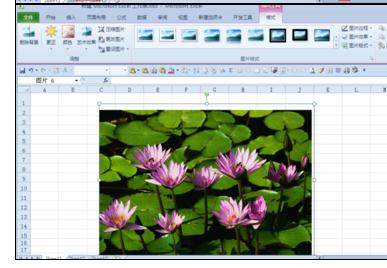 Excel2010中对图片进行抠图和裁剪的操作方法