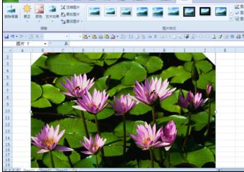 Excel2010中对图片进行抠图和裁剪的操作方法