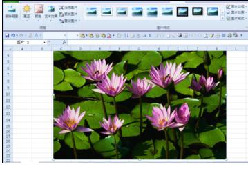 Excel2010中对图片进行抠图和裁剪的操作方法