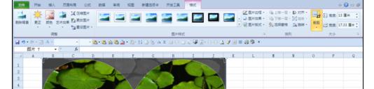 Excel2010中对图片进行抠图和裁剪的操作方法