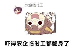 显卡兼容性