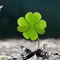 昂达主板a78gt两显示器显示同一画面怎么设置