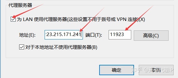 浏览器ip代理软件