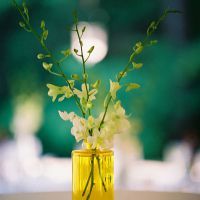 
WindowsXP系统如何装“一拖二”USB接头即可？