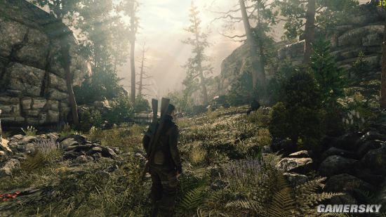 狙击精英4 显卡