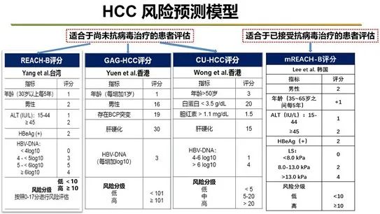 2008年世界顶级杀毒软件排名：状元BitDefender得分：4分