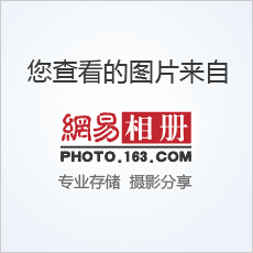 静音鼠标好不好_静音鼠标 手感_静音鼠标什么牌子好