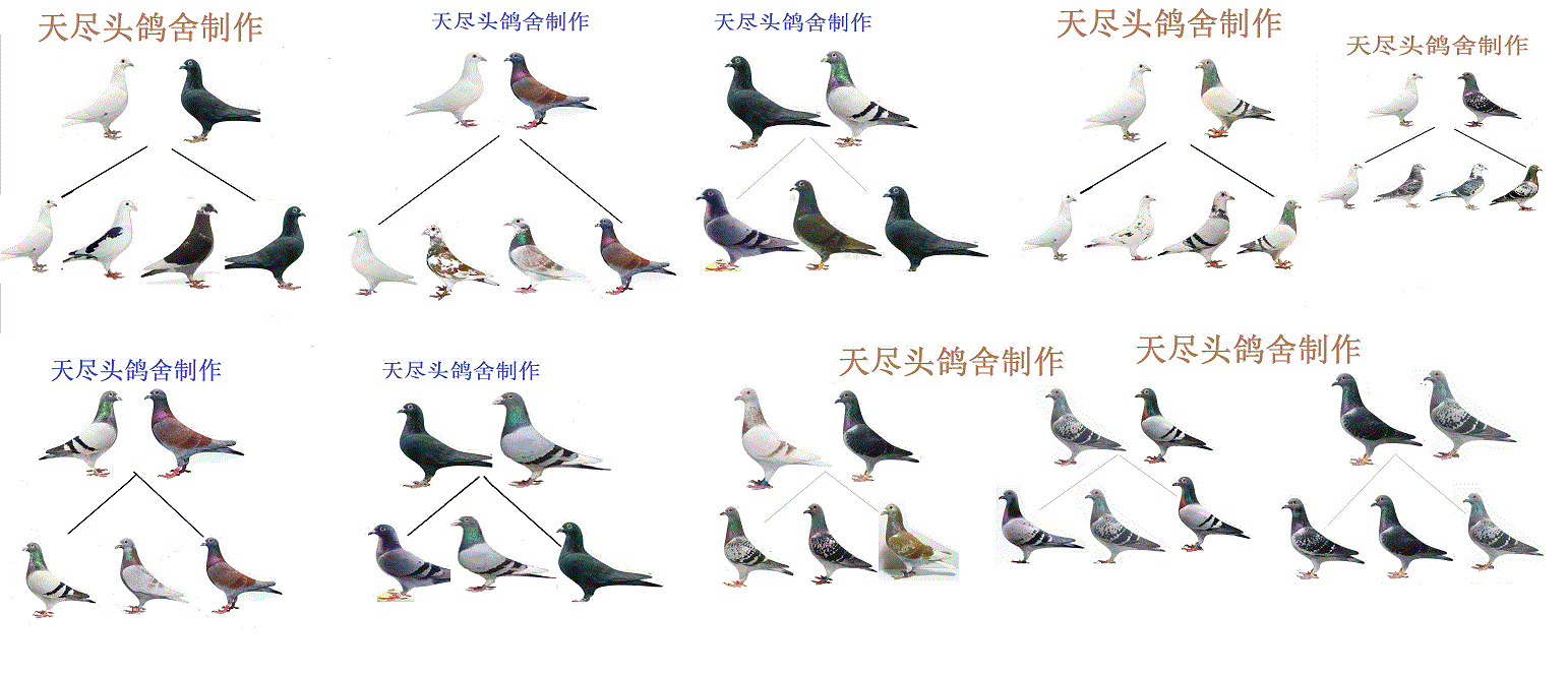 电量校准软件_显示器校准软件_百度时间校准显示