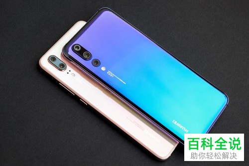 为什么手机wps打不开pdf文件