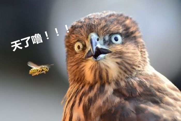 机械硬盘居然也限制写入量,吓得我又买一块固