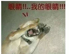 电视比显示器便宜