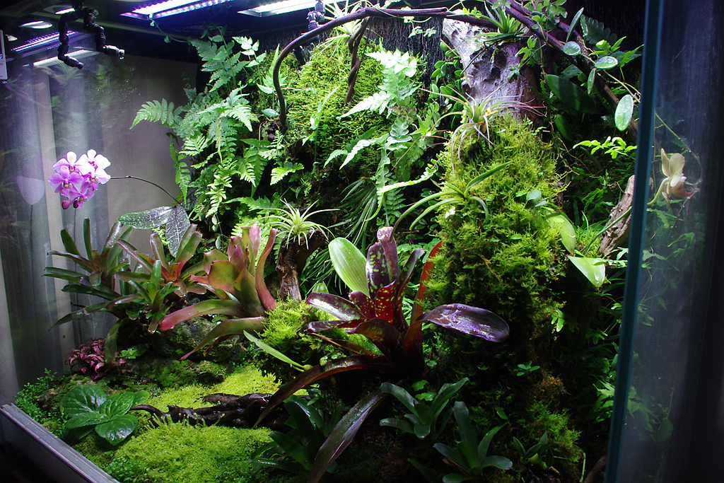 u盘安装redhat linux系统教程_雨林木风win10安装教程u盘_u盘centos安装教程