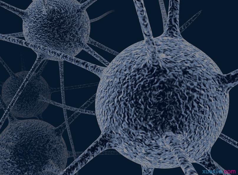 电脑病毒一直都删除不了怎么办