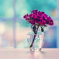 路由器不接电脑能用吗