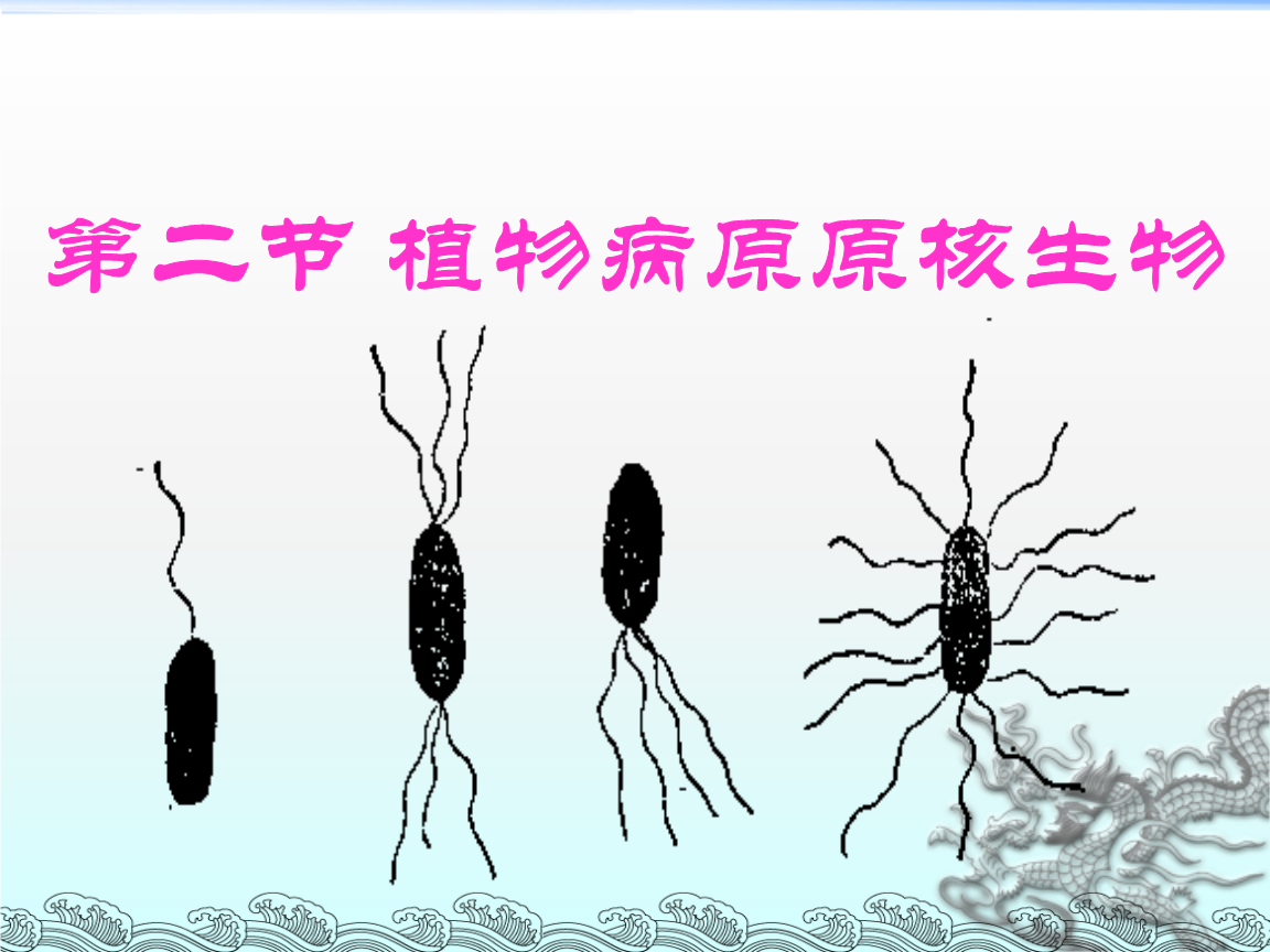 office2010激活工具有病毒_电脑病毒具有什么特点_哪些病毒具有血凝特征