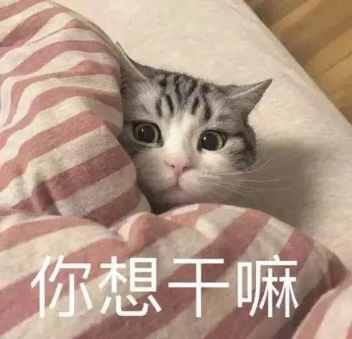 散装cpu差