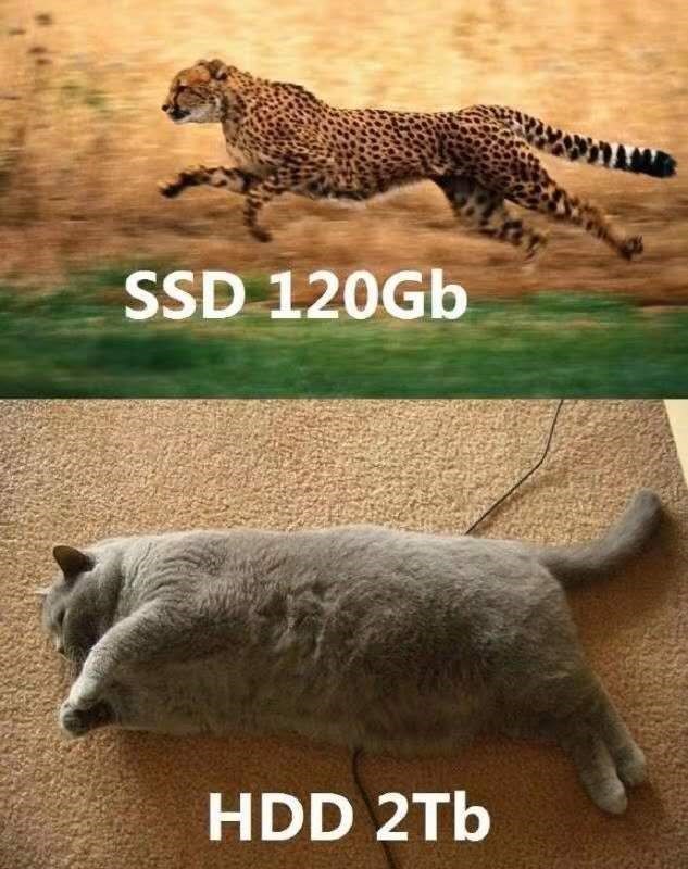 91d69e94489a901fcdbc6f7e50b6c10a.png