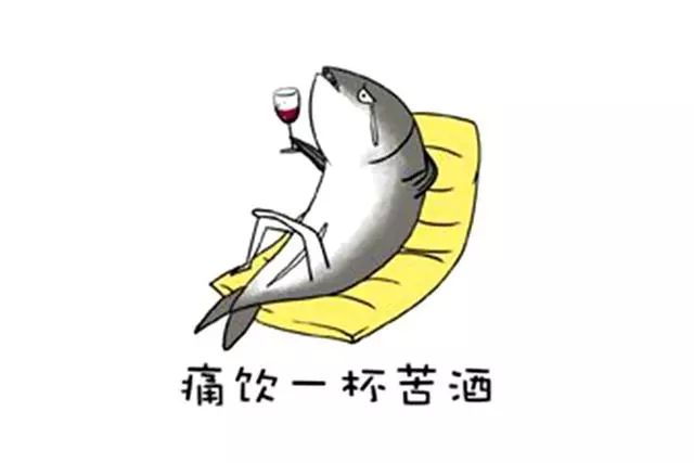 艾普宽带