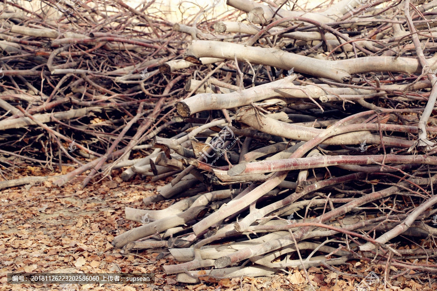 win10正版购买_photoshopcc正版购买_win 10 cad2012 64注册机