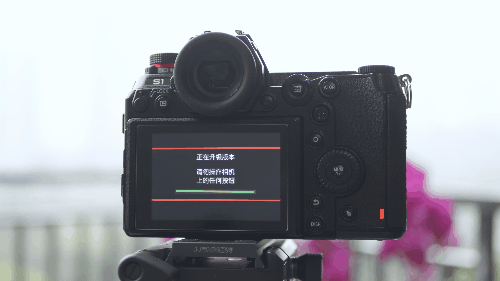 n卡最稳定驱动版本_sd卡内存清理_内存转接卡 不稳定么