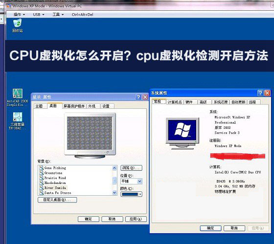 虚拟化cpu计数