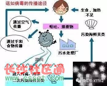 移动终端的病毒查杀技术_查杀手机木马病毒_金山查杀木马病毒
