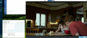 hd3200显卡支持flash加速吗