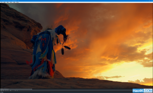 hd3200显卡支持flash加速吗