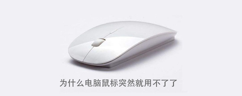 鼠标不能用
