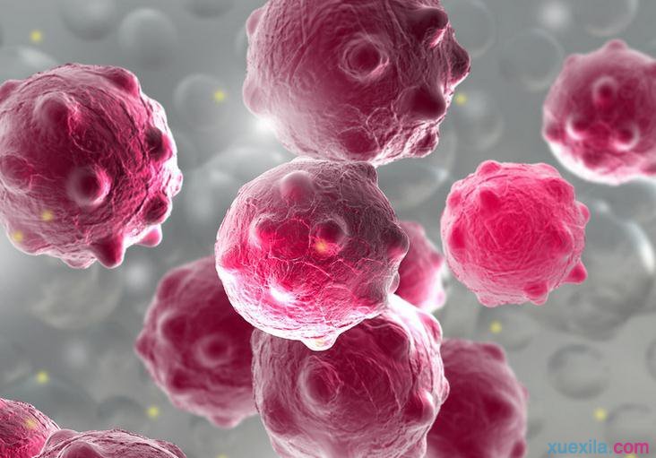 电脑病毒学习教程是怎么样的