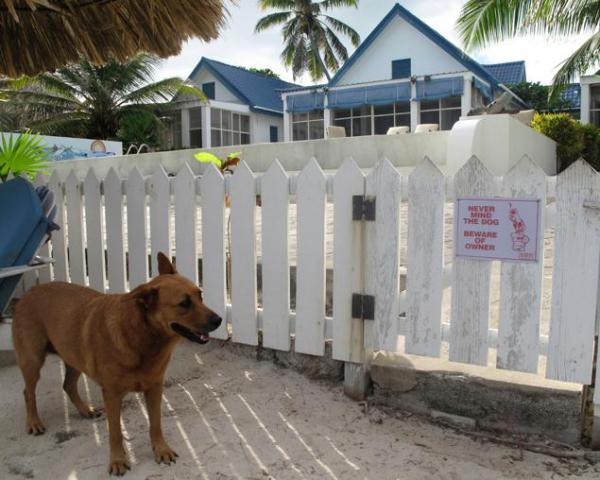 苹果4s惹祸 电脑杀毒软件教父逃亡之路曝光(组