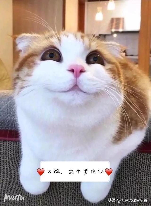 外国人用什么主板