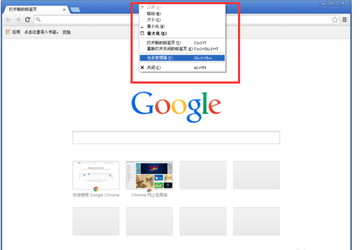 谷歌浏览器 stable