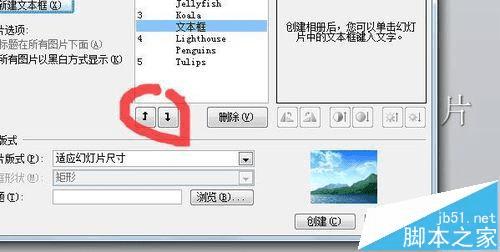 wps图片上加文字_wps excel图片衬于文字下方_wps 图片转换文字