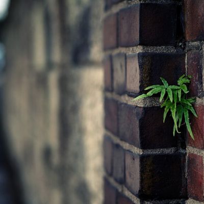 win7 internet信息服务没有